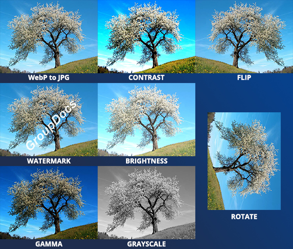Converta a imagem WebP para os formatos JPG, PNG ou PDF em Java e C#